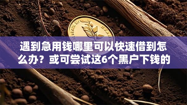 遇到急用钱哪里可以快速借到怎么办？或可尝试这6个黑户下钱的口子