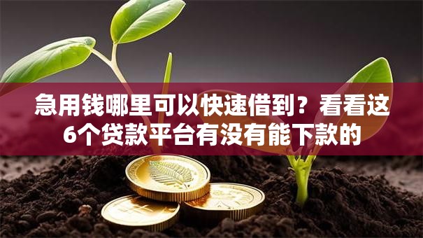 急用钱哪里可以快速借到？看看这6个贷款平台有没有能下款的