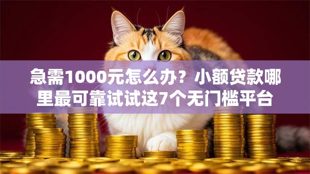急需1000元怎么办？小额贷款哪里最可靠试试这7个无门槛平台