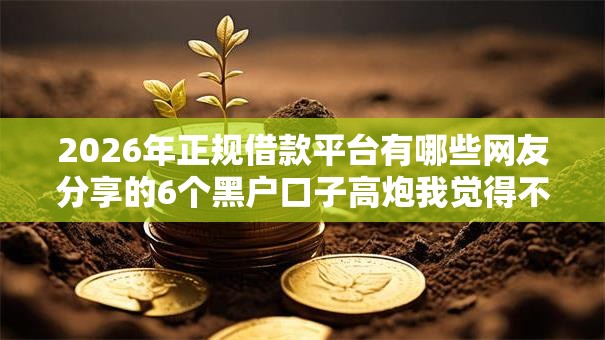 2026年正规借款平台有哪些网友分享的6个黑户口子高炮我觉得不错！