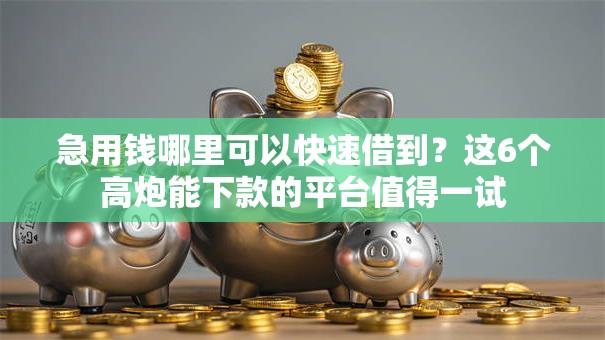 急用钱哪里可以快速借到？这6个高炮能下款的平台值得一试