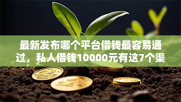 最新发布哪个平台借钱最容易通过，私人借钱10000元有这7个渠道