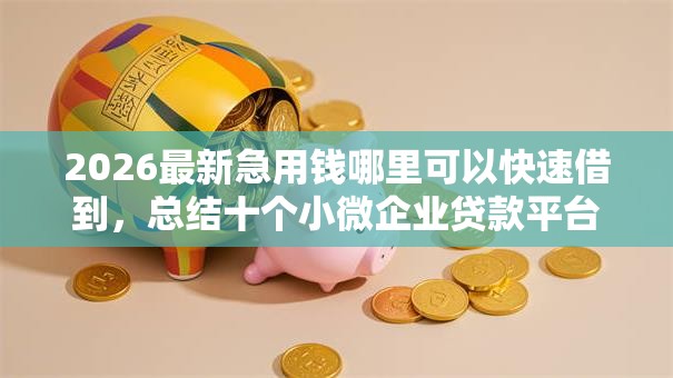 2026最新急用钱哪里可以快速借到，总结十个小微企业贷款平台！