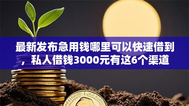 最新发布急用钱哪里可以快速借到，私人借钱3000元有这6个渠道