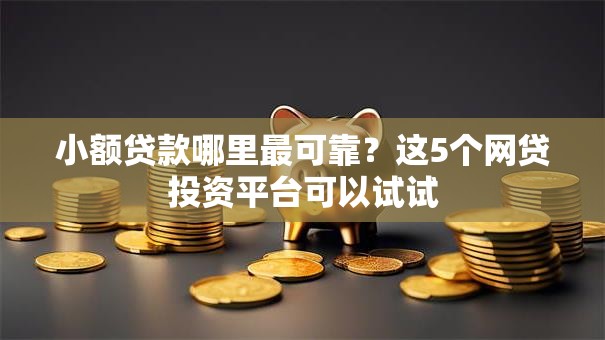 小额贷款哪里最可靠？这5个网贷投资平台可以试试
