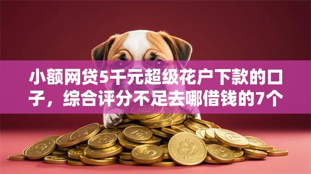 小额网贷5千元超级花户下款的口子，综合评分不足去哪借钱的7个平台介绍