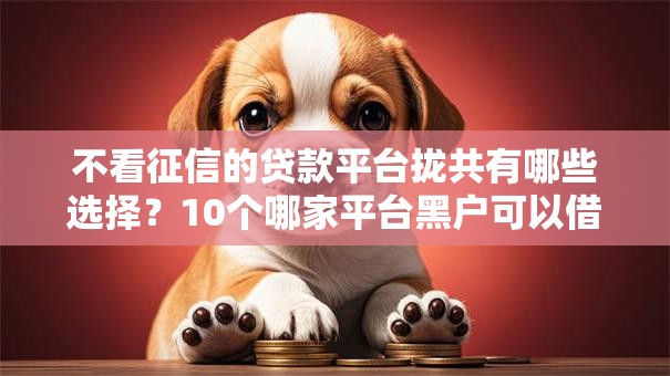 不看征信的贷款平台拢共有哪些选择？10个哪家平台黑户可以借钱详解