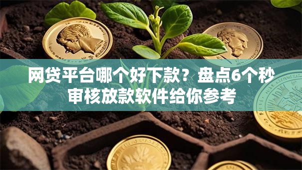 网贷平台哪个好下款？盘点6个秒审核放款软件给你参考