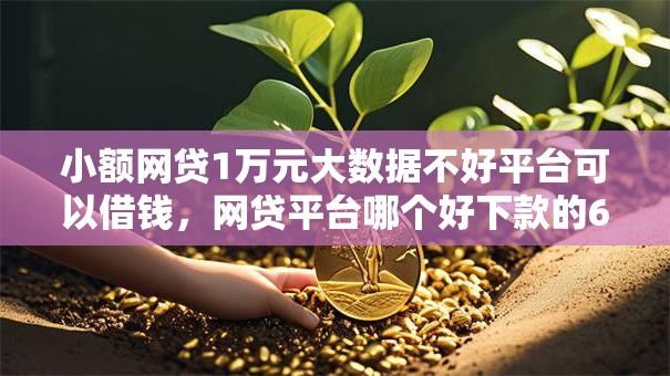 小额网贷1万元大数据不好平台可以借钱，网贷平台哪个好下款的6个平台介绍