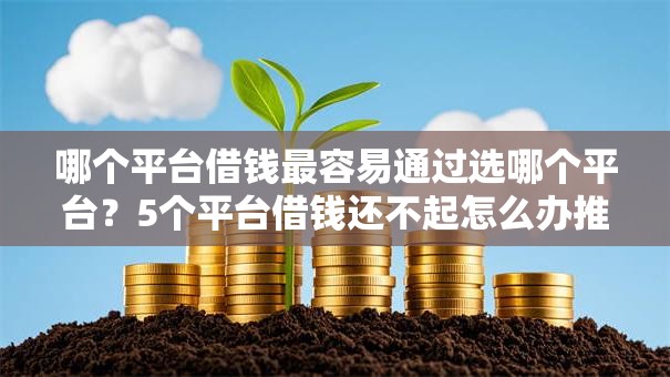 哪个平台借钱最容易通过选哪个平台？5个平台借钱还不起怎么办推荐