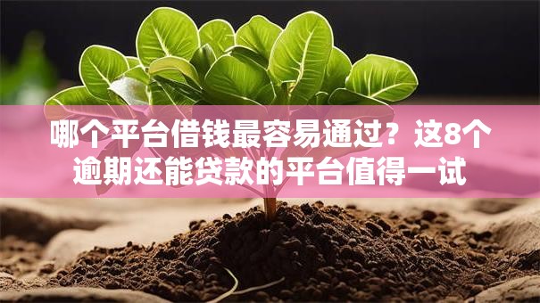 哪个平台借钱最容易通过？这8个逾期还能贷款的平台值得一试