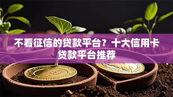 不看征信的贷款平台？十大信用卡贷款平台推荐