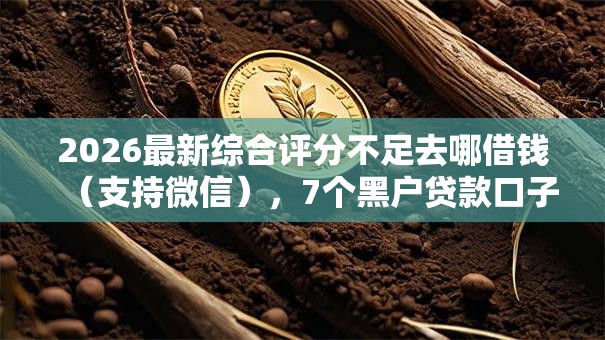 2026最新综合评分不足去哪借钱(支持微信),7个黑户贷款口子无私分享 2026最新综合评分不足去哪借钱(支持微信),7个黑户贷款口子无私分享