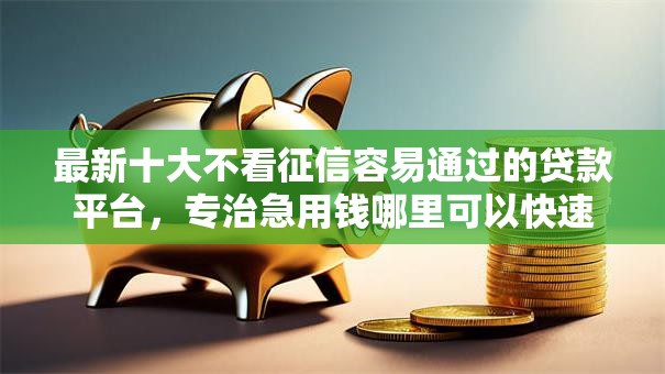 最新十大不看征信容易通过的贷款平台，专治急用钱哪里可以快速借到