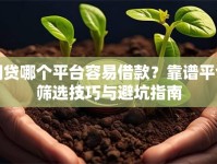网贷哪个平台容易借款？靠谱平台筛选技巧与避坑指南