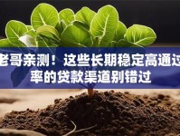 老哥亲测！这些长期稳定高通过率的贷款渠道别错过