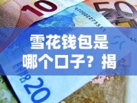 雪花钱包是哪个口子？揭秘这个贷款平台的真实使用体验