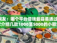 网友：哪个平台借钱最容易通过？求介绍几款1000至5000的小额贷款平台