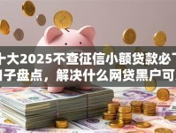 十大2025不查征信小额贷款必下口子盘点，解决什么网贷黑户可以贷的到款的问题