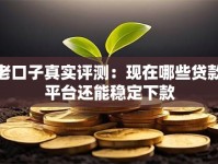 老口子真实评测：现在哪些贷款平台还能稳定下款