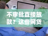 不审批直接放款？这些网贷平台让你轻松借钱到账！