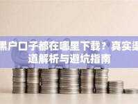 黑户口子都在哪里下载？真实渠道解析与避坑指南