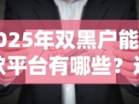 2025年双黑户能下款平台有哪些？这些渠道或成新选择