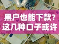 黑户也能下款？这几种口子或许能帮你解决资金难题