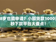 18岁也能申请？小额贷款1000元秒下款平台大盘点！