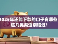 2025年还能下款的口子有哪些？这几类渠道别错过！