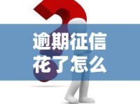 逾期征信花了怎么办？正确解决姿势看这篇攻略