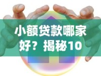 小额贷款哪家好？揭秘100%通过率的借钱平台攻略！