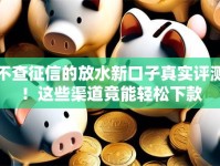 不查征信的放水新口子真实评测！这些渠道竟能轻松下款