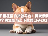 不看征信的贷款平台？网友亲测8个黑贷款马上下款的口子2025盘点