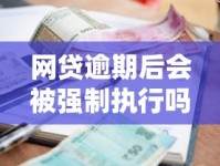 网贷逾期后会被强制执行吗？借款人必须了解的债务风险与应对方案