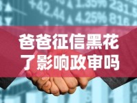 爸爸征信黑花了影响政审吗？这些知识点必须了解
