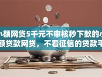 小额网贷5千元不审核秒下款的小额贷款网贷，不看征信的贷款平台的8个平台介绍
