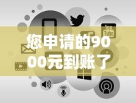 您申请的9000元到账了？放款成功短信这样查！贷款流程全解析