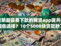 昆明最容易下款的网贷app拢共有哪些选择？10个5000块贷款秒下软件详解
