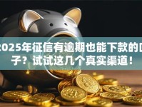 2025年征信有逾期也能下款的口子？试试这几个真实渠道！