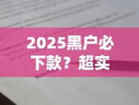 2025黑户必下款？超实用贷款申请技巧大拆解