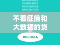 不看征信和大数据的贷款平台有哪些？真实渠道大揭秘！