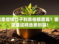 哪里借钱口子利息低额度高？靠谱渠道这样选更划算！