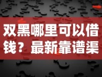 双黑哪里可以借钱？最新靠谱渠道及注意事项详细解答