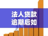 法人贷款逾期后如何处理？3个关键步骤化解企业贷款风险