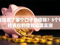 征信花了哪个口子能借钱？5个审核宽松的借钱渠道实测