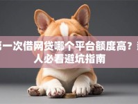 第一次借网贷哪个平台额度高？新人必看避坑指南