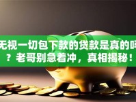 无视一切包下款的贷款是真的吗？老哥别急着冲，真相揭秘！