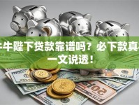 牛牛陛下贷款靠谱吗？必下款真相一文说透！