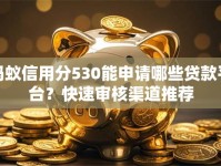 蚂蚁信用分530能申请哪些贷款平台？快速审核渠道推荐